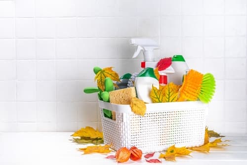 markham cleaning services